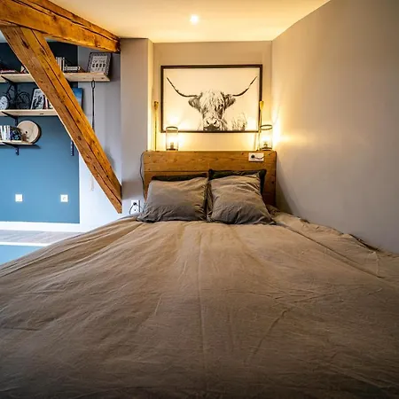Le Cosy Rock / Rent4night グルノーブル